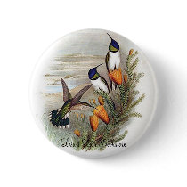 Gould - Chimborazian Hill-Star Promo Button by LisasLair Gould - Chimborazian Hill-Star Promo Button