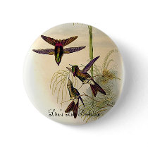 Gould - Columbian Thornbill Hummingbird Promo Butt buttons