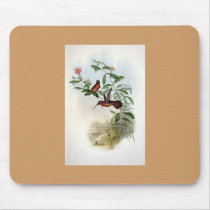 Gould - Dohrn's Hermit Hummingbird mousepads