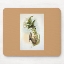 Gould - D'Osery's Hermit Hummingbird mousepads