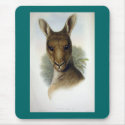 Gould - Eastern Grey Kangaroo Head mousepads by LisasLair Gould - Eastern Grey Kangaroo Head mousepads