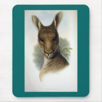 Gould - Eastern Grey Kangaroo Head mousepads