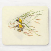 Gould - Gouldian Finch Mouse Pad mousepads by LisasLair Gould - Gouldian Finch Mouse Pad mousepads