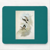 Gould - Guy's Hermit Hummingbird mousepads