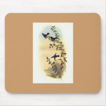 Gould - Helena's Calpte Hummingbird mousepads by LisasLair Gould - Helena's Calpte Hummingbird mousepads