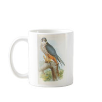 Gould - Hobby - Falco subbuteo Bookstore Promo Mug