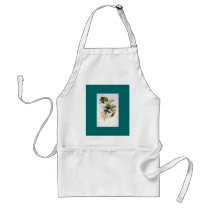 Gould - Lanceolate Hermit Hummingbird aprons