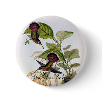 Gould - Lanceolate Hermit Hummingbird buttons