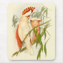Gould - Leadbetter's Cockatoo mousepads