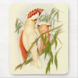 Gould - Leadbetter's Cockatoo Mouse Pad