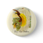 Gould - Lesser Bird Of Paradise Bookstore Promo Pins