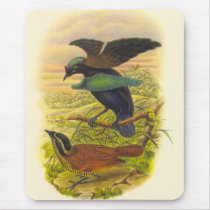 Gould - Lesser Superb Bird Of Paradise mousepads by LisasLair Gould - Lesser Superb Bird Of Paradise mousepads