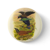 Gould - Lesser Superb Bird Of Paradise Promo buttons by LisasLair Gould - Lesser Superb Bird Of Paradise Promo buttons