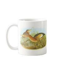 Gould - Little Bittern - Ixobrychus minutus Promo Mugs