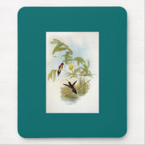 Gould - Longuemare's Hermit Hummingbird mousepads