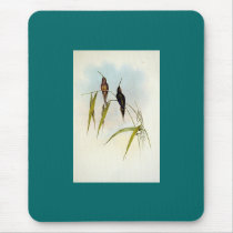 Gould - Middle-Sized Hermit Hummingbird mousepads