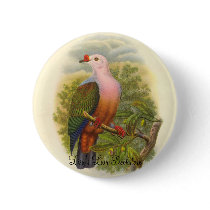 Gould - New Ireland Fruit Pigeon Bookstore Promo buttons