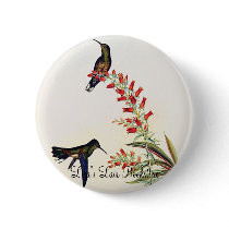 Gould - Owen's Sabrewing Hummingbird buttons