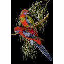 Gould - Pennant's Parakeet Painting t-shirts by LisasLair Gould - Pennant's Parakeet Painting t-shirts