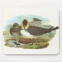Gould - Pomarine Skua - Stercorarius pomarinus mousepads