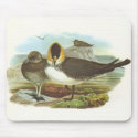 Gould - Pomarine Skua - Stercorarius pomarinus mousepads
