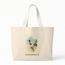 Gould - Princess Helena's Coquette Hummingbird Tote Bag