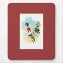 Gould - Princess Helena's Coquette Hummingbird mousepads by LisasLair Gould - Princess Helena's Coquette Hummingbird mousepads