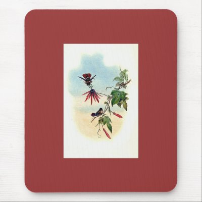 Gould - Princess Helena's Coquette Hummingbird Mouse Mat by LisasLair