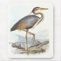 Gould - Purple Heron - Ardea purpurea mousepads