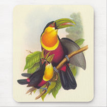 Gould - Red-Breasted Toucan mousepads