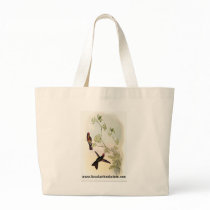 Gould - Red-Capped Thorn-Bill Hummingbird bags
