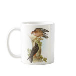 Gould - Red-Footed Falcon - Falco vespertinus Coffee Mug