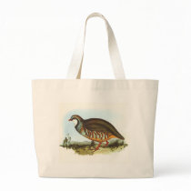 Gould - Red-Legged Partridge - Alectoris rufa bags