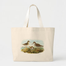 Gould - Redshank - Tringa totanus Bags
