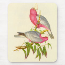 Gould - Rose-Breasted Cockatoo mousepads by LisasLair Gould - Rose-Breasted Cockatoo mousepads