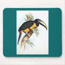 Gould - Royal Aracari Toucan mousepads