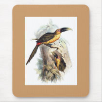 Gould - Saffron-Coloured Aracari Toucan Portfolio mousepads
