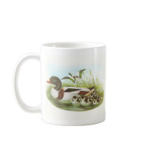 Gould - Shelduck - Tadorna tadorna Bookstore Promo mugs
