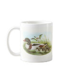 Gould - Shelduck - Tadorna tadorna Bookstore Promo Mug