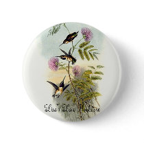Gould - Short-Tailed Woodstar Hummingbird buttons