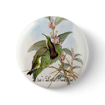 Gould - Snowy-Throated Emerald Hummingbird buttons
