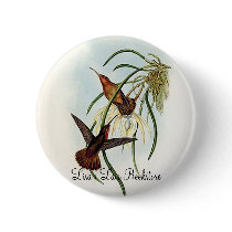Gould - Spix's Saw-Bill Hummingbird buttons by LisasLair Gould - Spix's Saw-Bill Hummingbird buttons