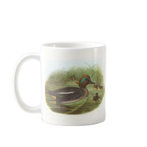 Gould - Teal - Anas crecca Bookstore Promo Mugs