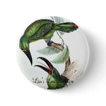 Gould - The Earl Of Derby's Aracari Toucan buttons
