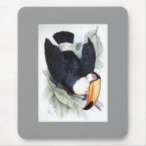 Gould - Toco Toucan mousepads