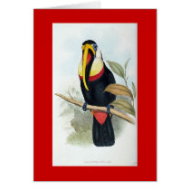 Gould - Toucan cards by LisasLair Gould - Toucan cards