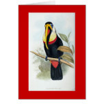 Gould - Toucan cards