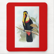 Gould - Toucan mousepads