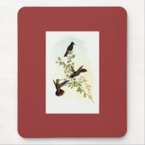 Gould - Tyrian-Tail Hummingbird mousepads by LisasLair Gould - Tyrian-Tail Hummingbird mousepads