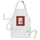 Gould - Wagler's Wood-Nymph Hummingbird aprons